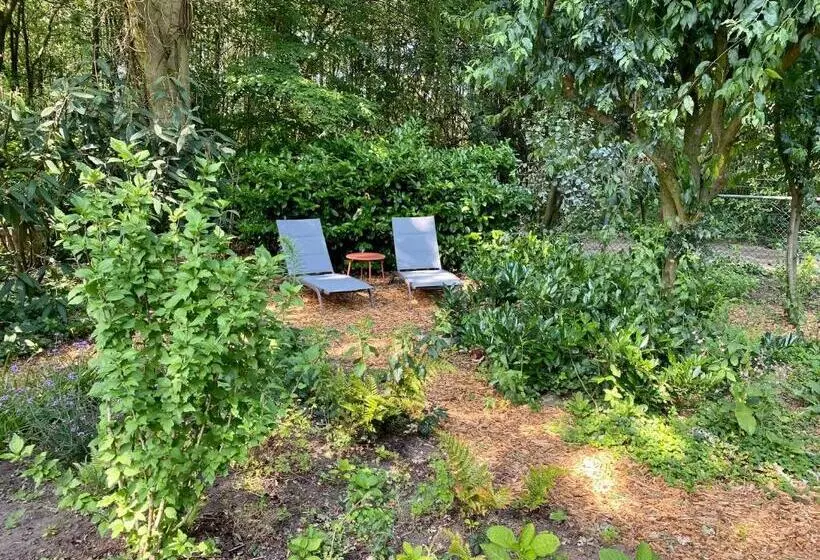 Huisje Aan De Bosrand   Veluwe