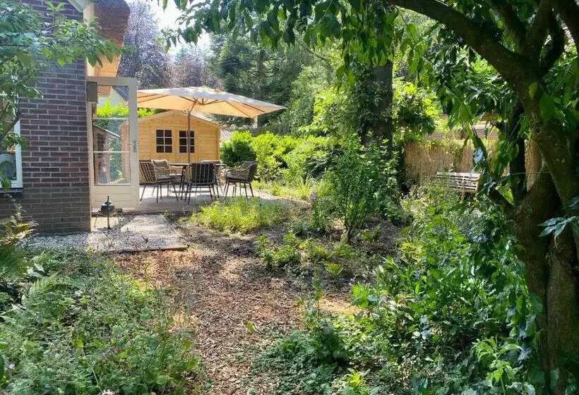 Huisje Aan De Bosrand   Veluwe