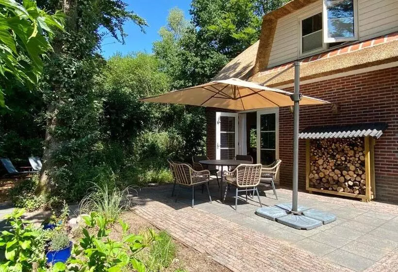 Huisje Aan De Bosrand   Veluwe