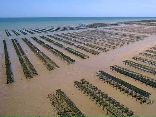 L Air Marin Apt Avec Belle Terrasse Vue Dégagée Séjour Lumineux 10 Mn à Pied Centre Port En Bessin P