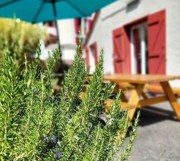 Garden   Utopy Hostel