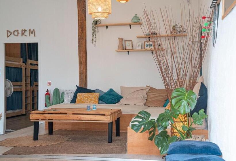 Garden   Utopy Hostel