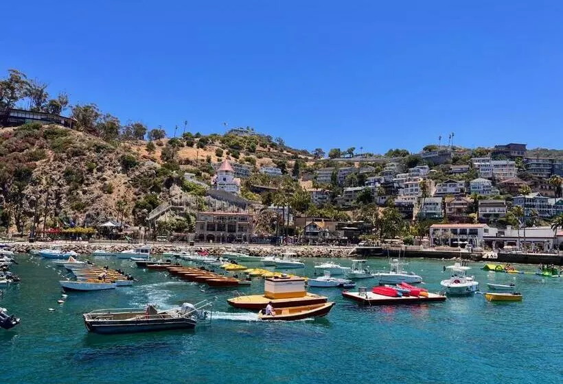 Modern Hamilton Cove Villa W/golf Cart