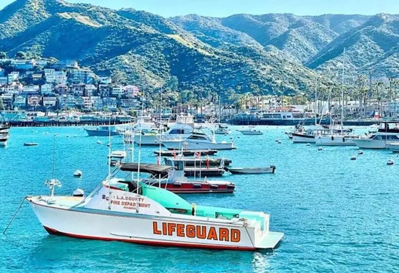 Modern Hamilton Cove Villa W/golf Cart