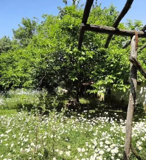 A Lovely House In Vipava Valley