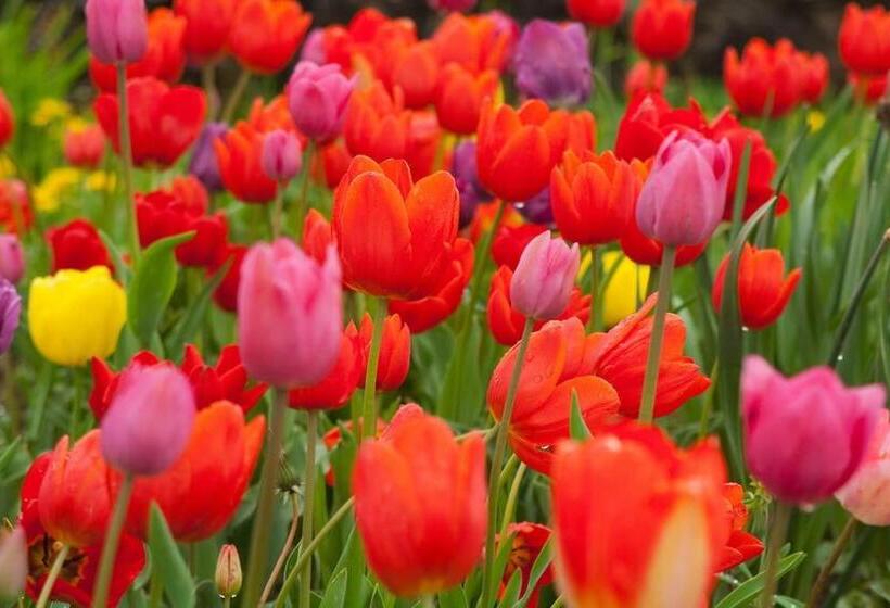 A Lovely House In Vipava Valley