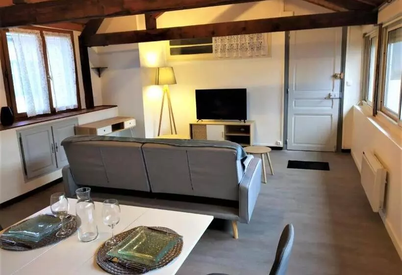 Appartements   Halles Brauhauban Tarbes