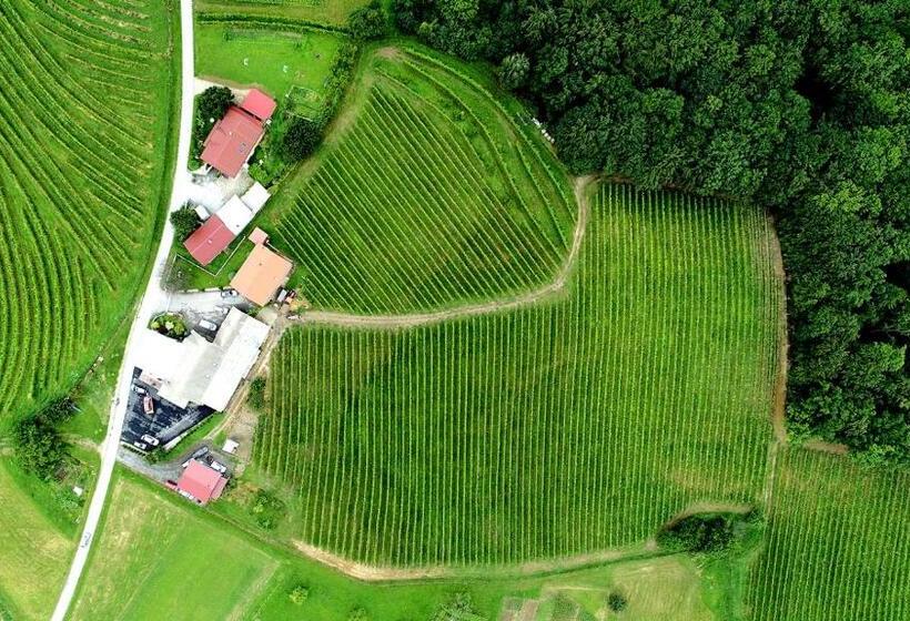 تختخواب و صبحانه Guesthouse Prenočišča širec