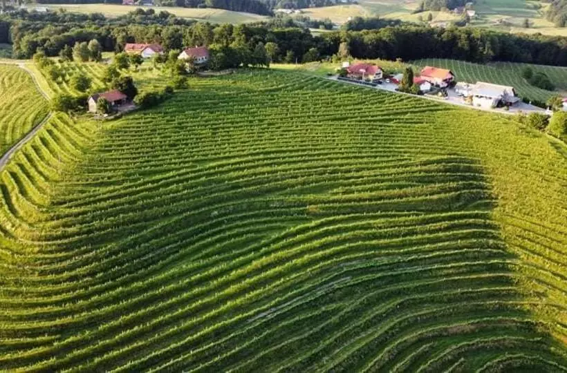 تختخواب و صبحانه Guesthouse Prenočišča širec