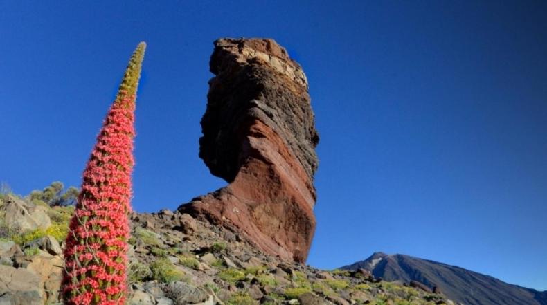 Casa Rural Alessia With Jacuzzi ,garden & Swimming Pool