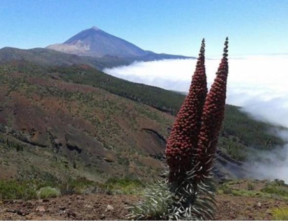 Casa Rural Alessia With Jacuzzi ,garden & Swimming Pool