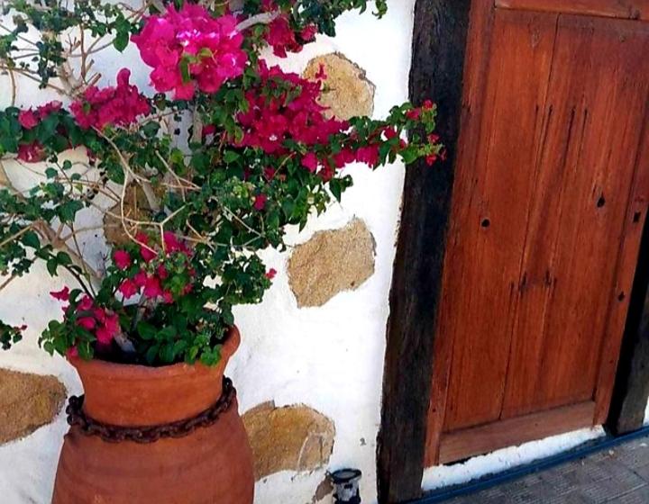 Casa Rural Alessia With Jacuzzi ,garden & Swimming Pool