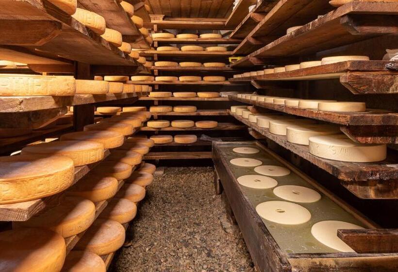 L Appartement De Marie