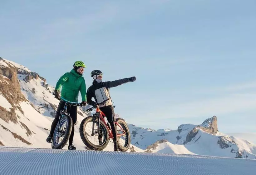 L Appartement De Marie