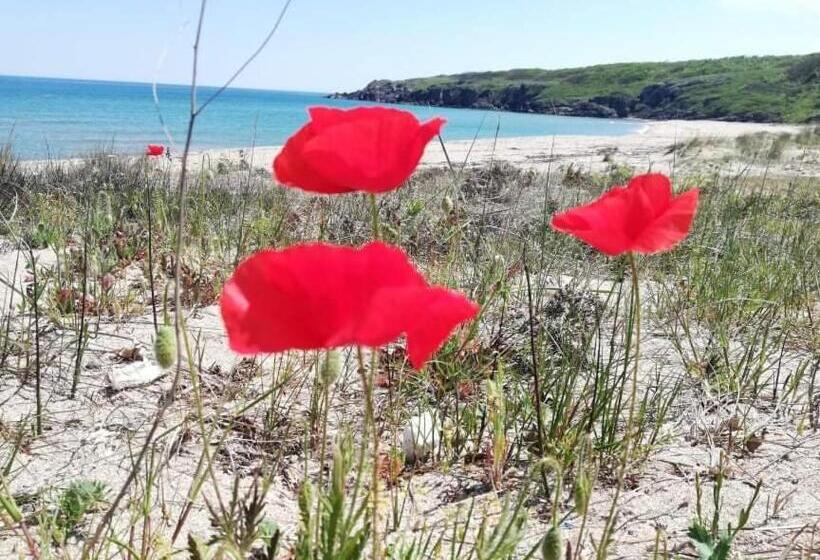 بنسيون къща за гости василеви синеморец   Guest House Vasilevi Sinemorets