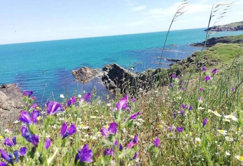 بنسيون къща за гости василеви синеморец   Guest House Vasilevi Sinemorets