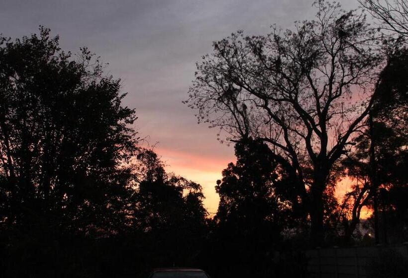 פנסיון Su Casa Scottsville