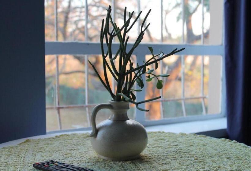 פנסיון Su Casa Scottsville