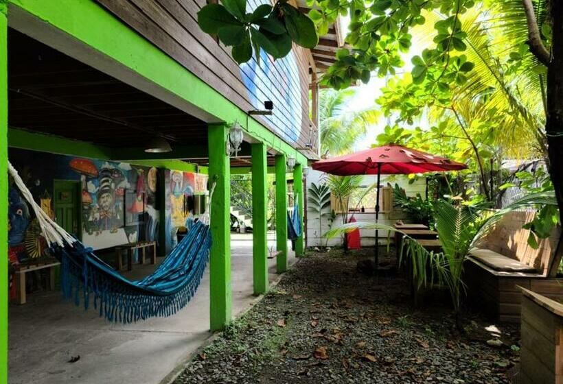 بنسيون The Bocas Corner