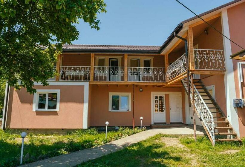 膳宿费 під соснами