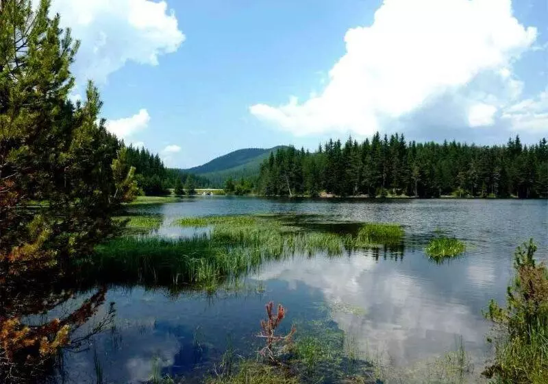 Stand Art   апартамент , смолянски езера