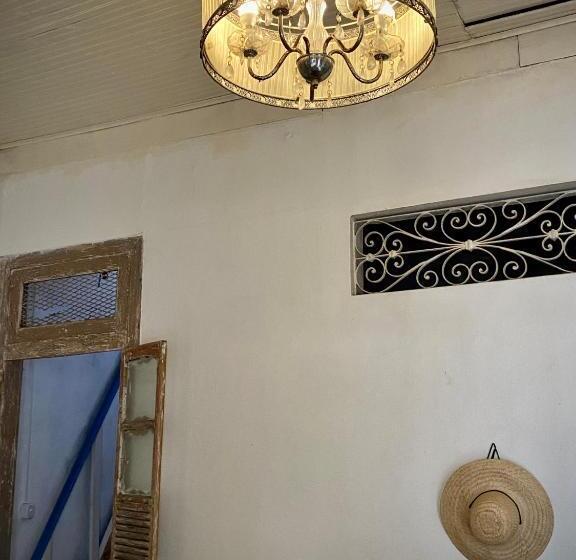 Tropicália Hostel E Pousada