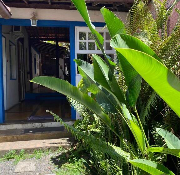 Tropicália Hostel E Pousada