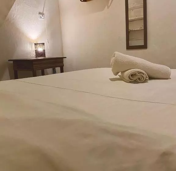 Tropicália Hostel E Pousada