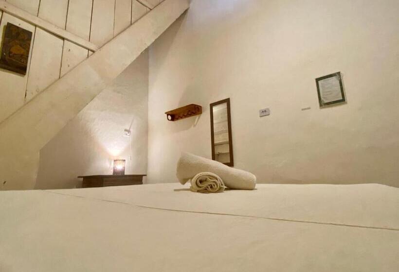 Tropicália Hostel E Pousada