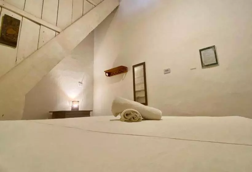 Tropicália Hostel E Pousada