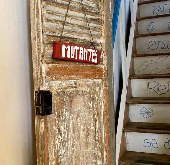 Tropicália Hostel E Pousada