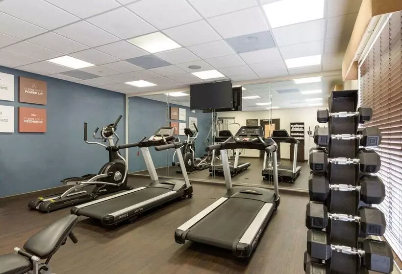 ホテル Comfort Suites Near Westchase On Beltway 8