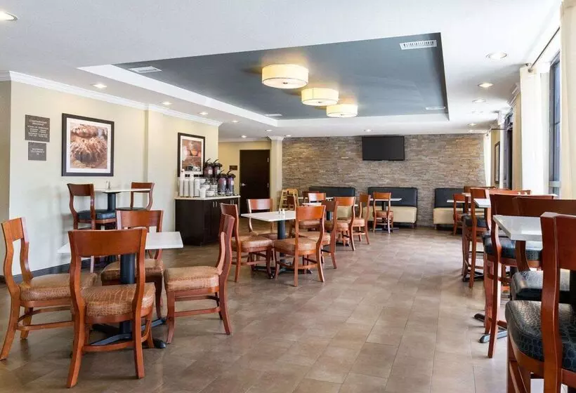 ホテル Comfort Suites Near Westchase On Beltway 8