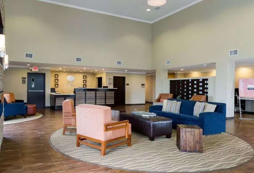 ホテル Comfort Suites Near Westchase On Beltway 8