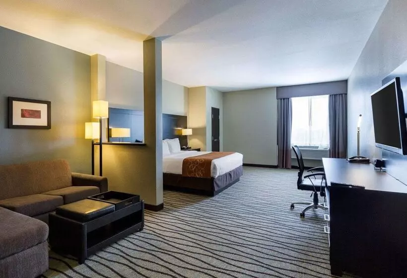 ホテル Comfort Suites Near Westchase On Beltway 8