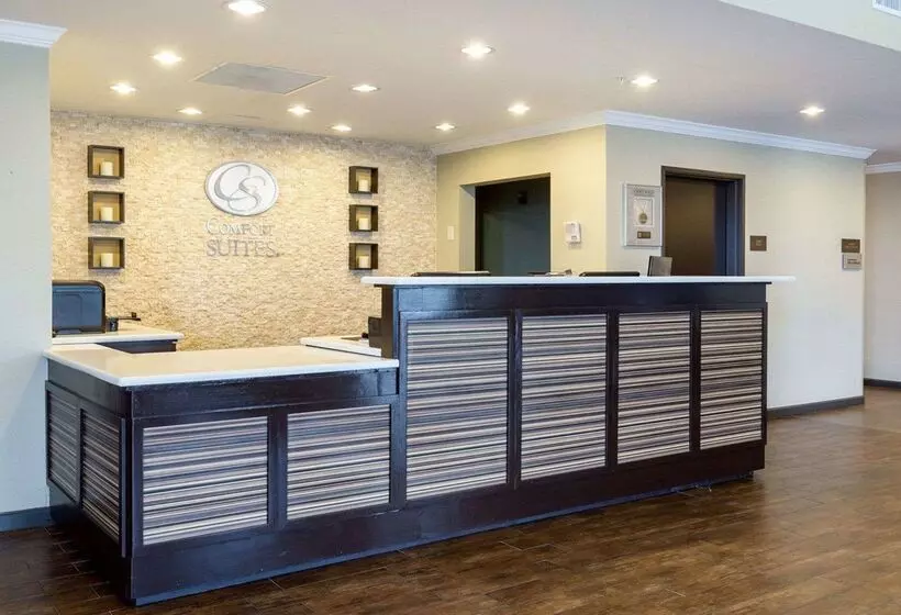 ホテル Comfort Suites Near Westchase On Beltway 8