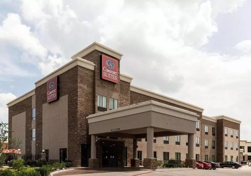 ホテル Comfort Suites Near Westchase On Beltway 8