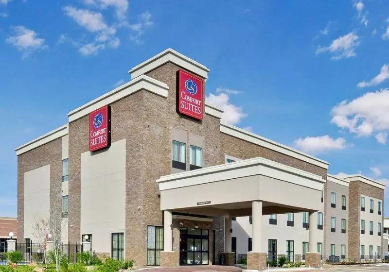 ホテル Comfort Suites Near Westchase On Beltway 8