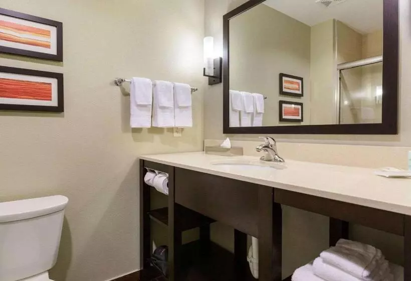 ホテル Comfort Suites Near Westchase On Beltway 8