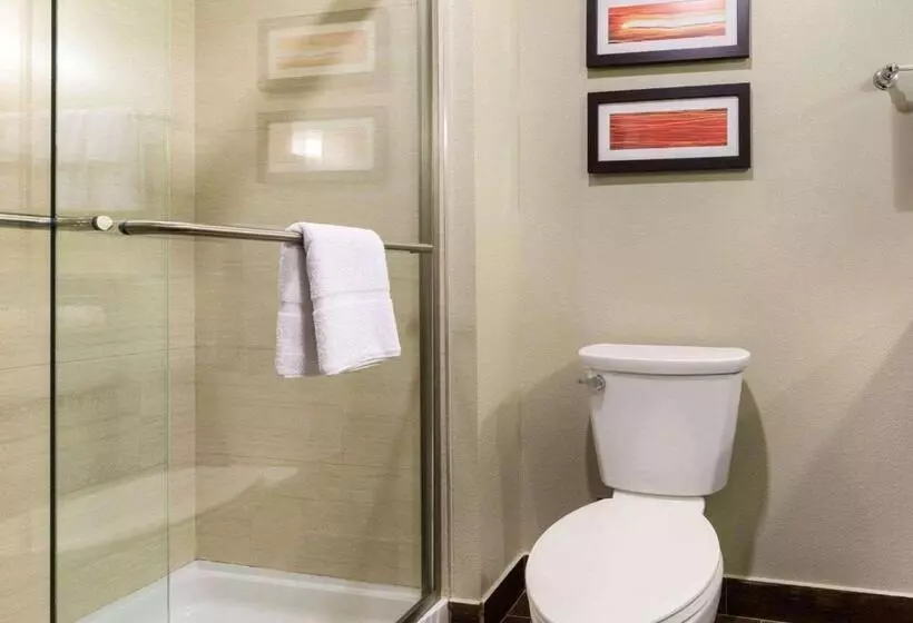 ホテル Comfort Suites Near Westchase On Beltway 8