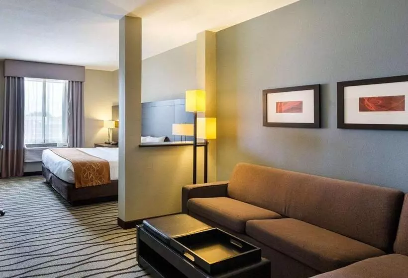 ホテル Comfort Suites Near Westchase On Beltway 8