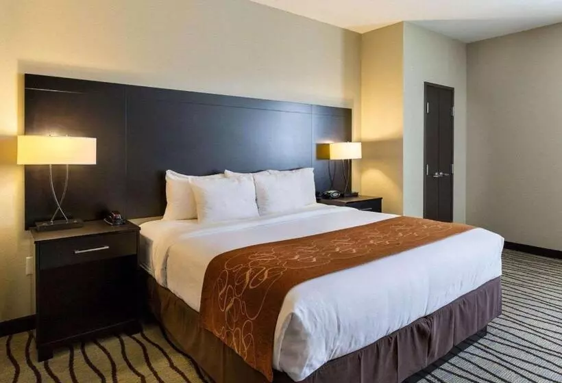 ホテル Comfort Suites Near Westchase On Beltway 8