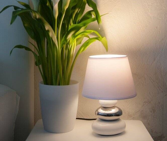 Отель Forsthaus Sellin