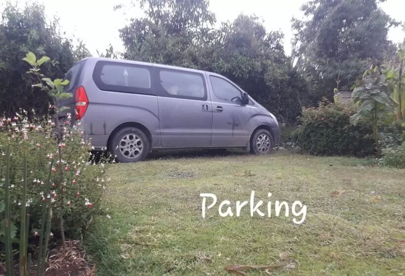 酒店 Green House Araque Inn