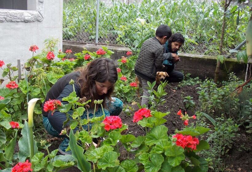 ホテル Green House Araque Inn