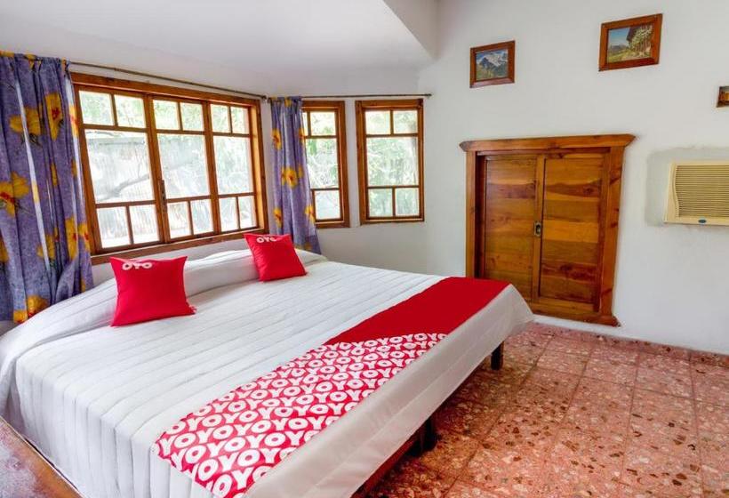 فندق Miami Acapulco