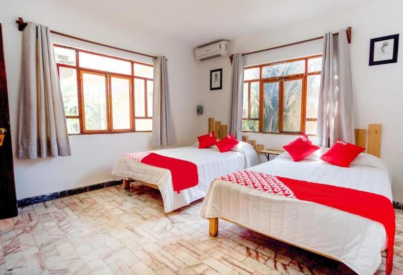 فندق Miami Acapulco