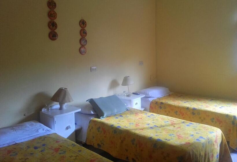 酒店 Posada Del Arbol