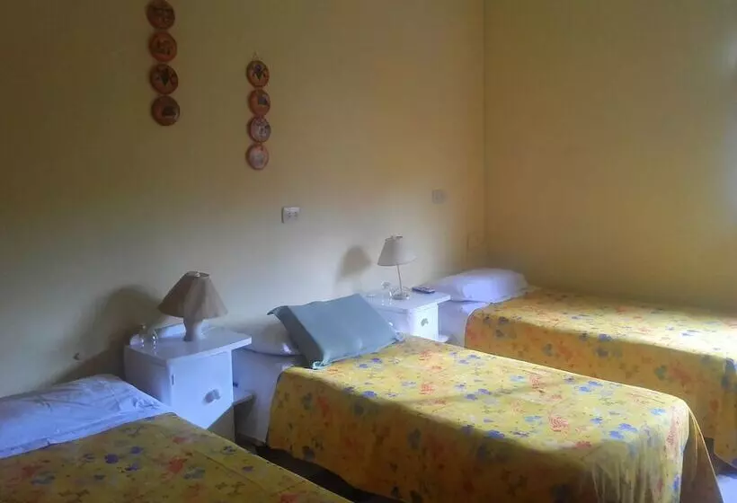 Hotel Posada Del Arbol