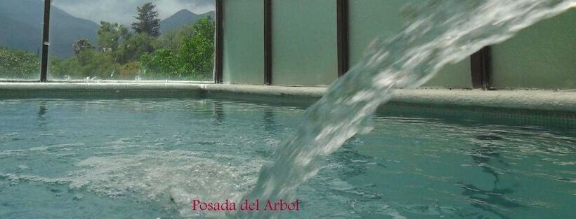 酒店 Posada Del Arbol